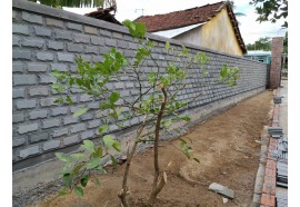 Sa thạch chẻ tay ốp tường